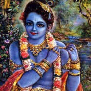 Krishnas Colours