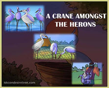 A Crane Amongst The Herons