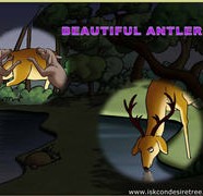 Beautiful Antlers