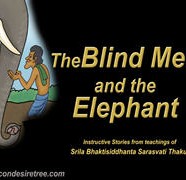 Blind Men And Elephant