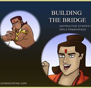 Building The Bridge