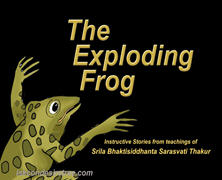 Exploding Frog-02