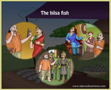 Gopal The hilsa fish