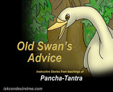 Old Swan Advice