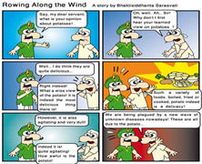 Rowing Aong The Wind-02