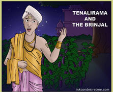Tenalirama And The Brinjal