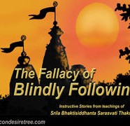 The Fallacy Of Blindly Following