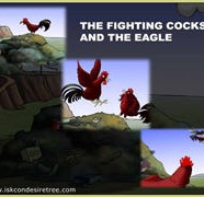 The Fighting Cocks And The Eagle
