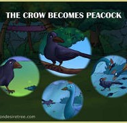 The Crow Becomes Peacock