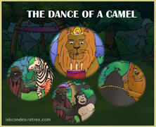 The Dance Of A Camel