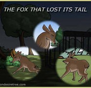 The Fox That Lost Its Tail