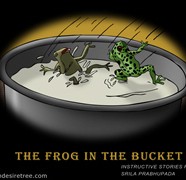 The Frog In The Bucket