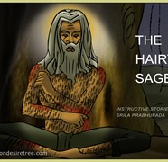 The Hairy Sage