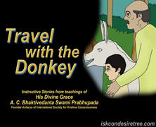 Travel With The Donkey