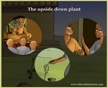 Upside Down Plant