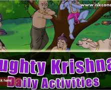 Naughty Krishna’s Daily Pastimes