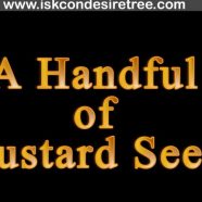 A Handful of Mustard Seeds