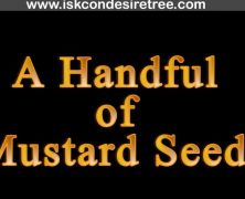 A Handful of Mustard Seeds
