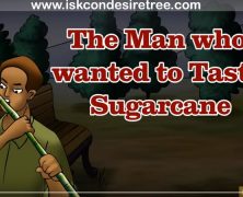 The Man Who Wanted To Taste Sugarcane