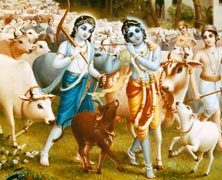 Krishna and Pastimes