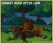 Donkey Runs After Lion