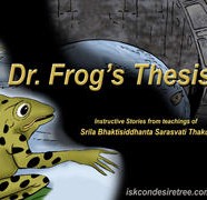 Dr Frog