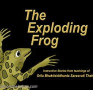 Exploding Frog-02