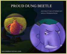 Proud Dung Beetle