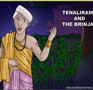 Tenalirama And The Brinjal