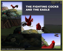 The Fighting Cocks And The Eagle