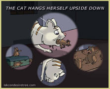 The Cat Hangs Herself Upside Down