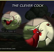 The Clever Cock