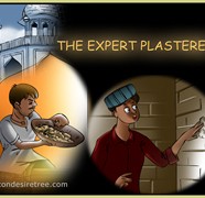 The Expert Plasterer
