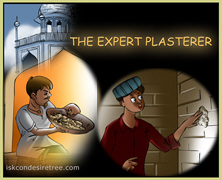 The Expert Plasterer