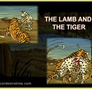 The Lamb And The Tiger