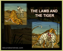 The Lamb And The Tiger