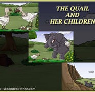 The Quail And Her Children