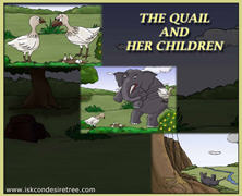 The Quail And Her Children