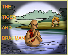 The Tiger And Brahmana
