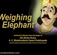 Weighing Elephant
