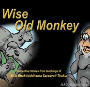Wise Old Monkey
