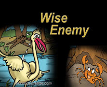 Wise Enemy