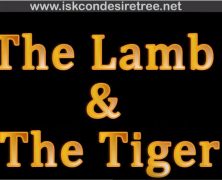 The Lamb & the Tiger